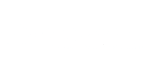 Stagezone Logo