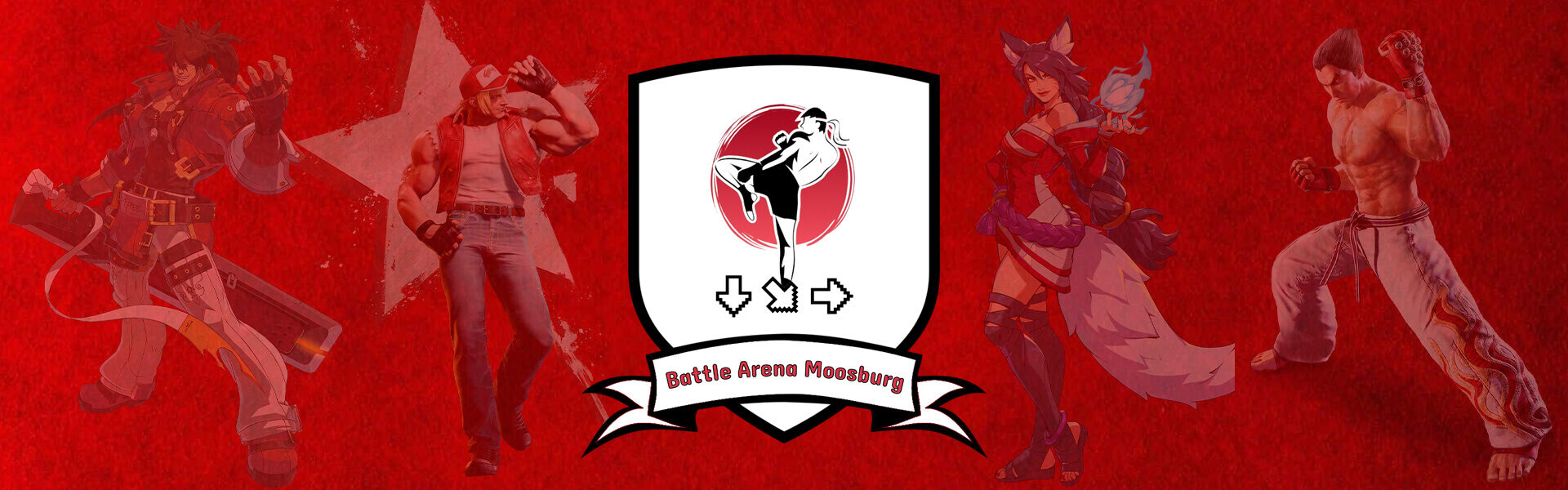 Battle-Arena-Moosburg-BAM-Banner-neu